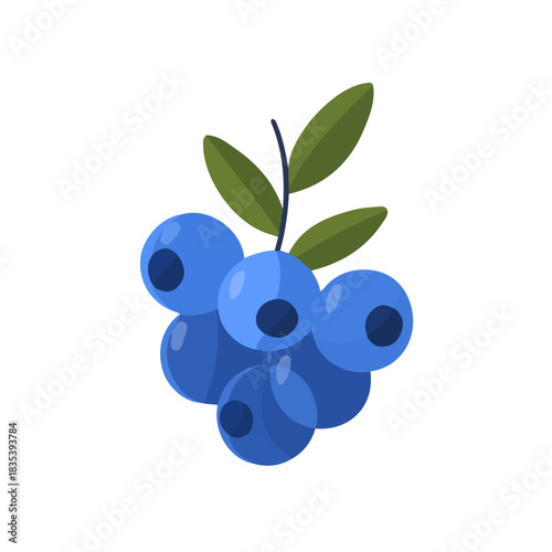 Picturesque_flat_2D_icon_of_a_bunch_of_blueberries_isolate_on_white, berry set