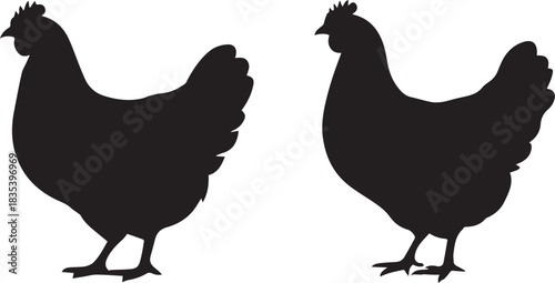 Hen silhouette in black and white, domestic bird icon isolated on white background for farm, poultry, and animal concepts