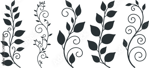 Elegant Plant Illustrations Minimalist Graphics for Decorative Design