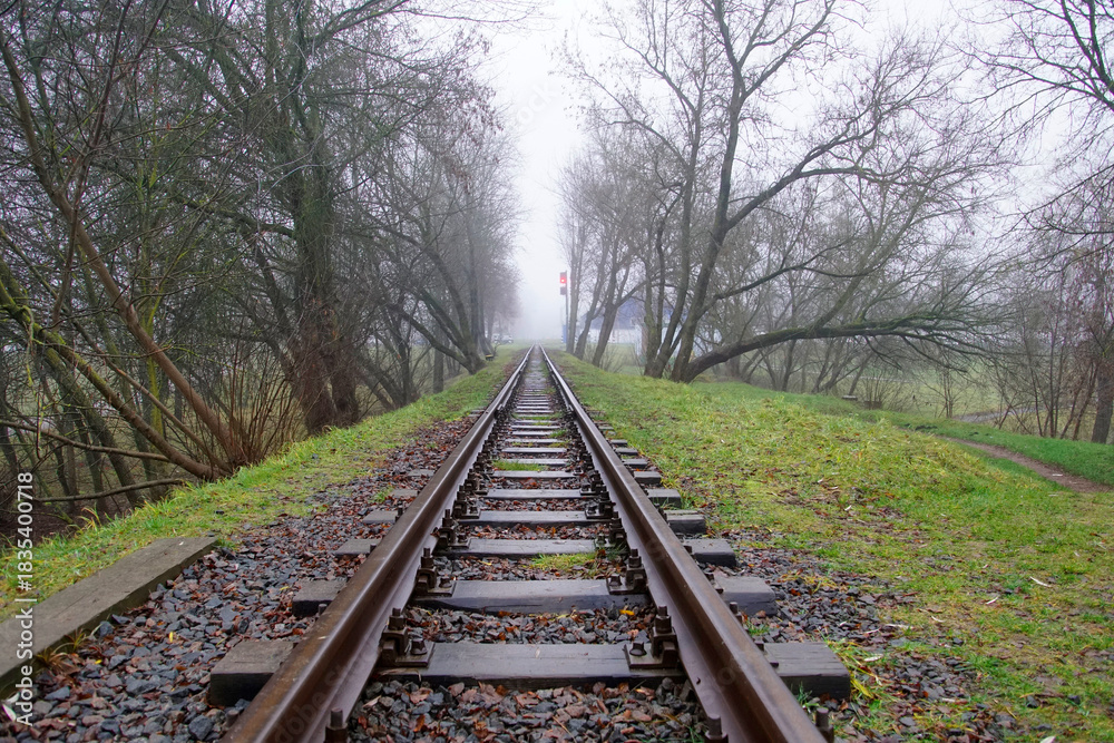 Fototapeta premium Foggy winter. Silhouettes of trees and fallen leaves underfoot. A railroad track stretching into the distance on wooden sleepers.