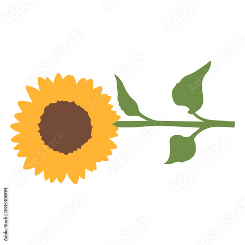 Simple horizontal sunflower