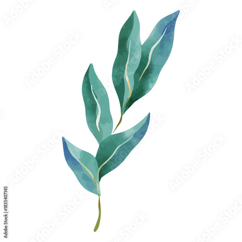 Watercolor delicate plant drawing