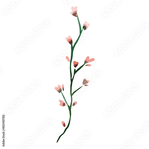 Flowers watercolor delicate drawing