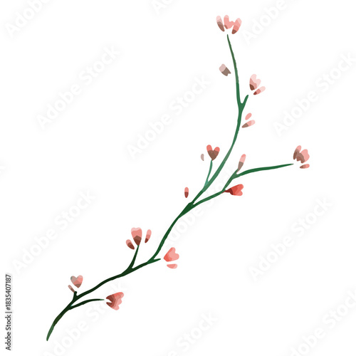 Flowers delicate watercolor drawing