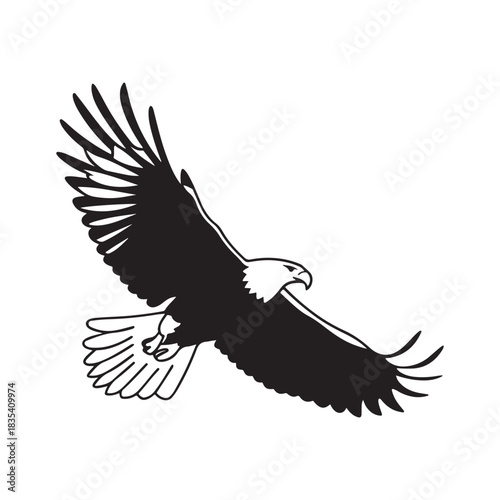 Eagle vector illustration