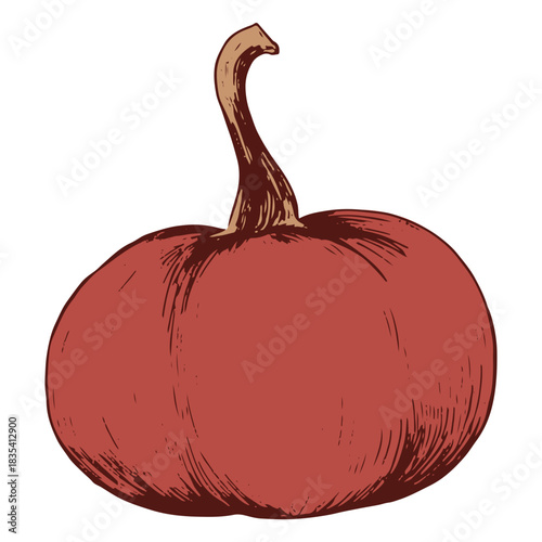 Pumpkin with long stem