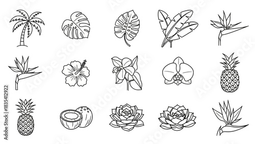 Black and white outline illustration showcasing diverse tropical plants collection  perfect for
