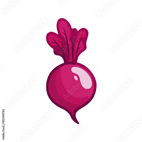 A Clipart set, an Attractive Minimalist illustration, a simple illustration with an EPS format design_Simple_flat_2D_icon_beetroot_isolated_on_a_white