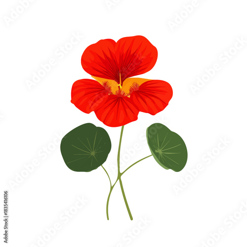 flat_2D_icon_nasturtium_flower_isolated_on_a_white, Attractive Minimalist illustration, A clipart flat 2D icon, simple illustration with EPS format design