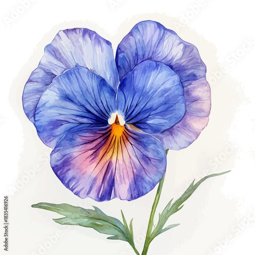 Viola Flower, beautiful watercolor illustration, isolated on a white background, soft and delicate colors.