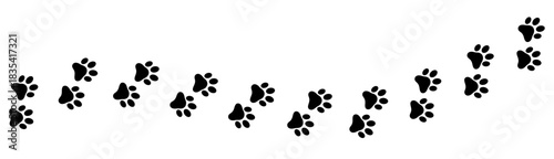 Paw print foot trail