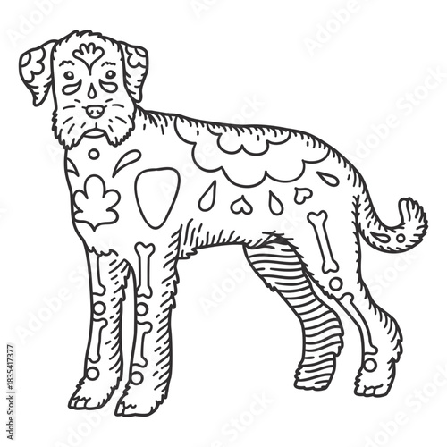 Schnauzer hand drawn dog