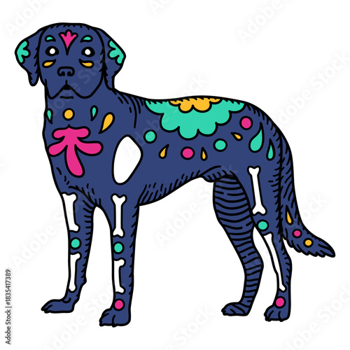 Mexican Otomi Labrador Dog