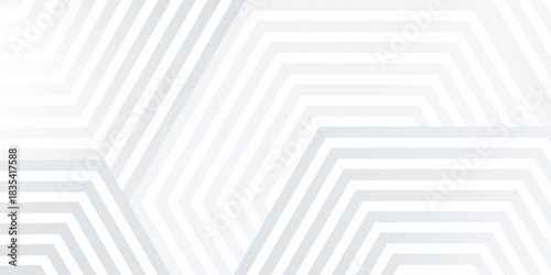 White silver soft geometric universal background for business presentation. Abstract elegant pattern. Frame borders. Minimalist empty lined blank BG.eps 10