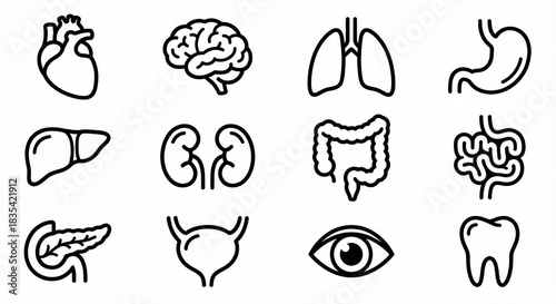 black white organ icons, monochrome anatomy icons, medical vector set, human organs outline, brain heart liver lungs kidney, minimal line icons, healthcare ui, anatomy pack, hospital vector design