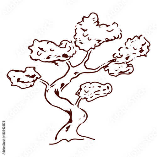 Sketched bonsai tree