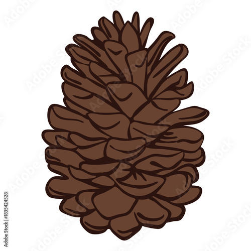 Pinecone color stroke solstice