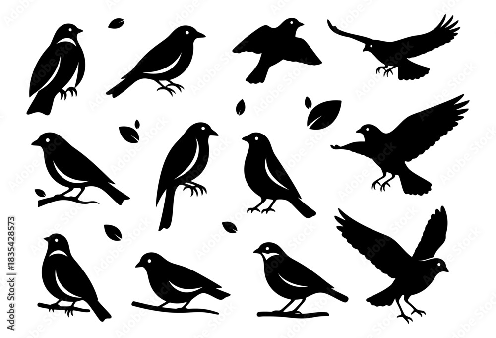 Fototapeta premium Collection of bird silhouettes in flying and perching poses with decorative leaves