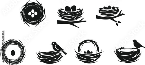 Collection of black and white bird nests with eggs and birds