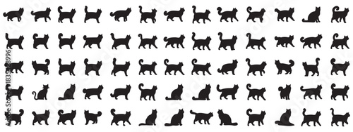Series of black and white cat illustrations, each with a different pose and expression. The mood of the images is playful and whimsical, with the cats appearing to be in various positions and poses.
