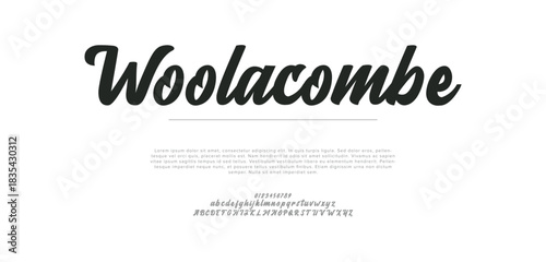 Elegant Font Uppercase Lowercase and Number. Classic Lettering Minimal Fashion Designs. Typography modern serif fonts regular decorative vintage concept. vector illustration