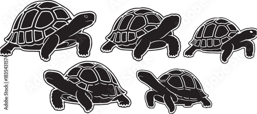 black vector illustration of a tortoise logo icon in silhouette. Perfect for branding, logos, or minimalist designs.