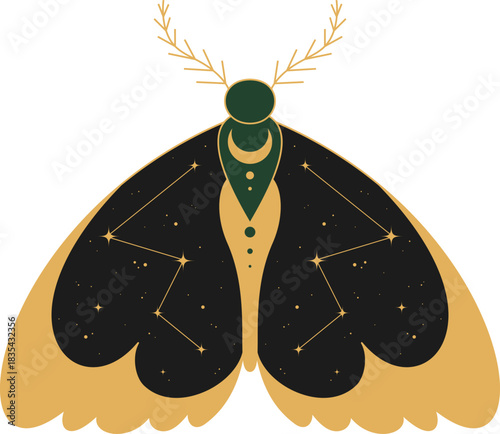 Astrology Butterfly