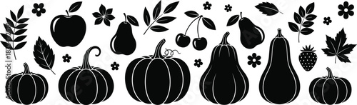 Black and White Autumn Harvest Silhouette Vector Illustration, Featuring Pumpkins, Squash, Pear, Apple, Cherry, Strawberry, and Assorted Leaves and Flowers for Fall Thanksgiving Design