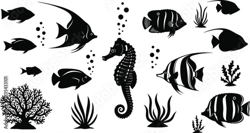 Black and white ocean animals set, underwater life, sea creatures, tropical exotic fish, coral, seaweed, and seahorse silhouettes for marine nature ecosystem.