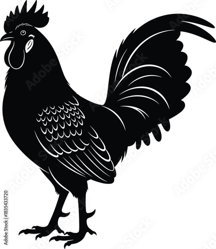 Black Rooster Silhouette Isolated on White Background, Detailed Vector Illustration of a Crowing Male Chicken, Farm Animal Symbol of the Chinese Zodiac.