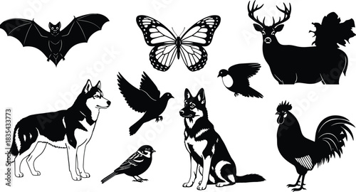 Black and white vector set of flying and standing animals and birds, including bat, butterfly, deer, domestic dog, dove, sparrow, and farm rooster silhouette collection