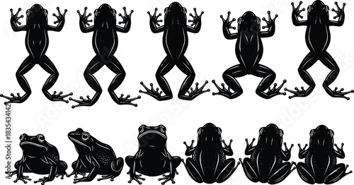 Black Silhouettes of Frogs Set, Vector Illustration of Amphibians Posed in Various Styles, Including Top-Down and Sitting Views, for Nature and Wildlife Designs.