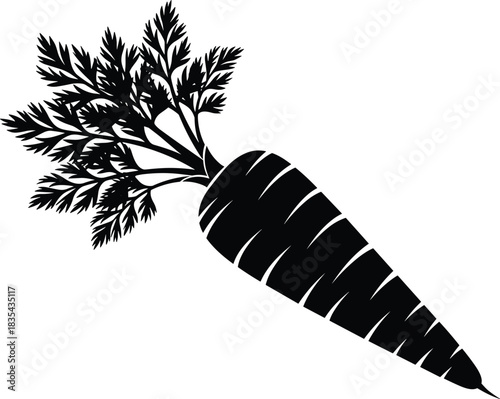 Fresh, Organic, and Healthy Carrot Vegetable Root with Detailed Green Leaves, a Hand-Drawn Silhouette Vector Illustration for Market, Farm, and Vegan Food Design Content