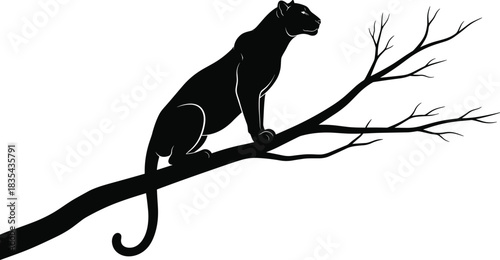 Majestic black panther silhouette sitting on a bare, stylized tree branch, vector illustration depicting a powerful, wild feline predator ready to pounce, isolated on white background art.