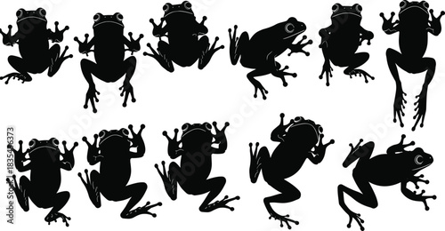 Silhouettes of Jumping and Sitting Frog Vector Illustration Pack, Set of 10 Amphibian Poses, Cartoon Outline Collection, Nature Wildlife Concept.