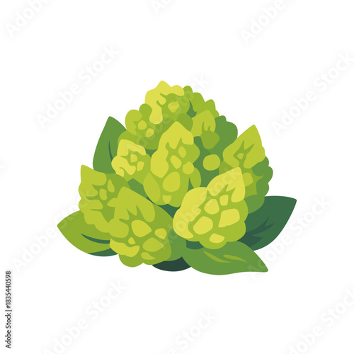 Green romanesco broccoli cauliflower vegetable, isolated flat style vector illustration