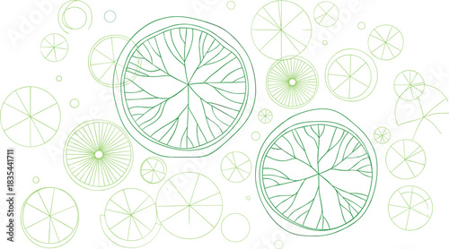 Abstract citrus fruit slice pattern, radial symmetry, botanical cross-section, organic texture, orange lemon lime design, nature-inspired geometry, vector illustration