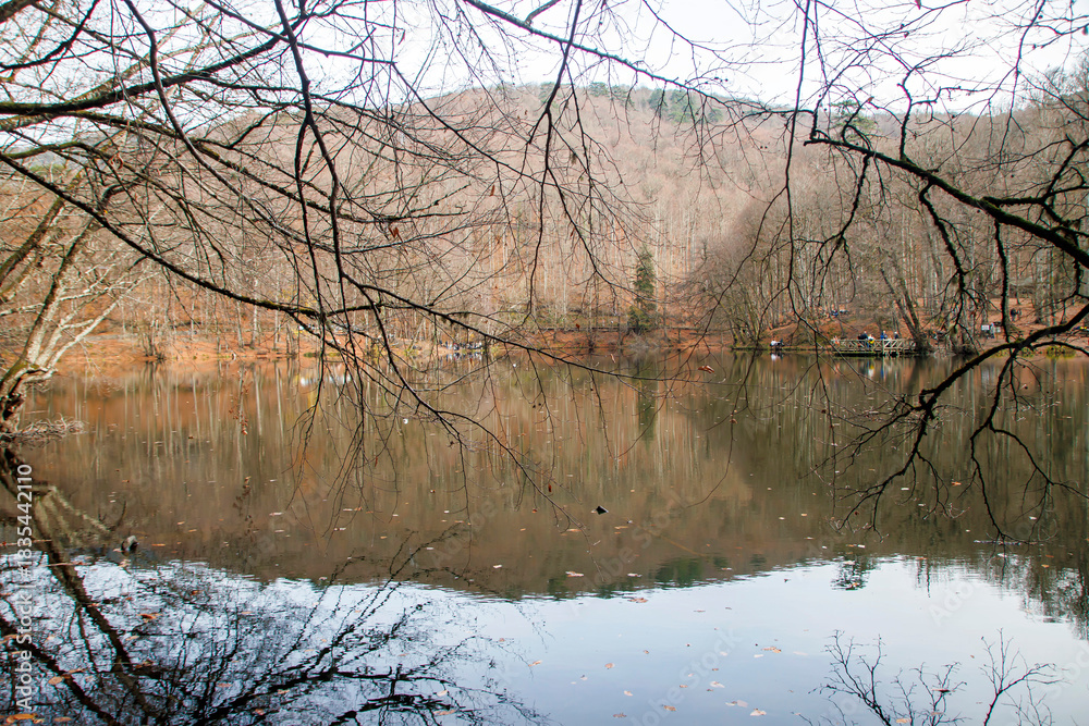 Obraz premium reflection of trees in the lake water, in autumn, yedigoller bolu