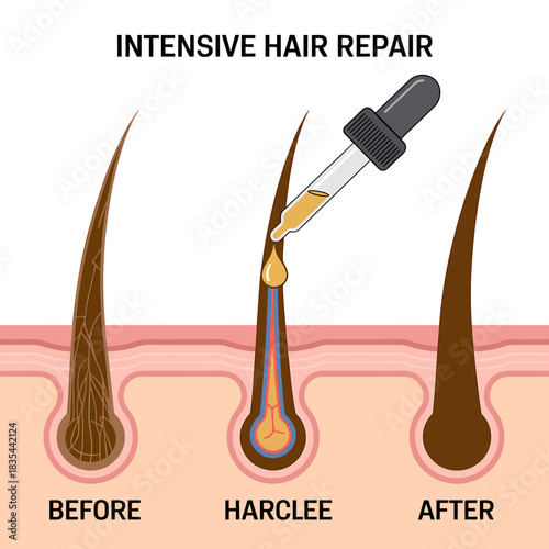 Hair repair serum treatment before and after results illustration
