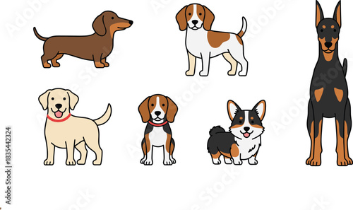 The comprehensive dog vector pack: featuring cheerful cartoon characters and detailed black silhouettes of various popular breeds for any graphic design need.