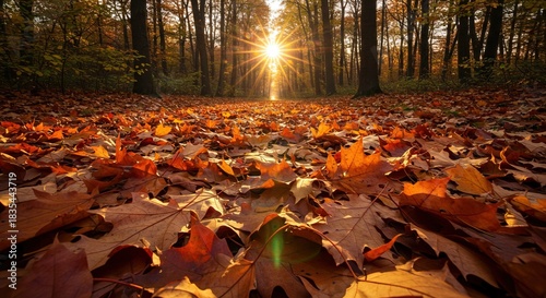 A tranquil pathway covered in a carpet of colorful fallen leaves leads towards a radiant sunburst in a serene autumn forest
