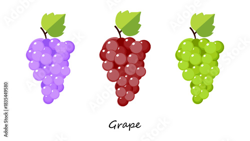 Grape Vector Illustration Set. Purple, Red, and Green Grape Cluster Vector Graphic. Ideal for food graphics, packaging, labels, menus, branding, farming themes, botanical projects, and digital artwork