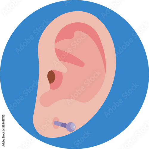 A human ear highlighting common piercing spots.