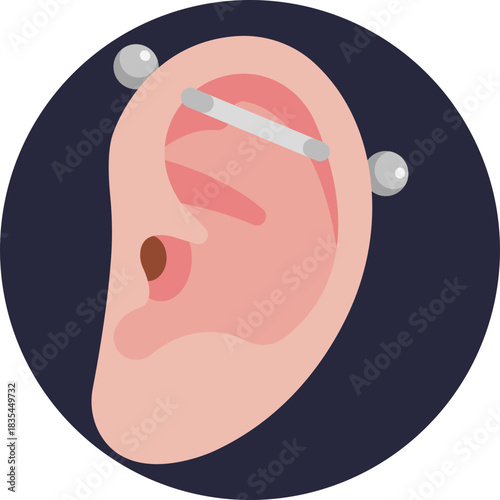 A piercing jewelry piece connecting two holes with a straight bar.