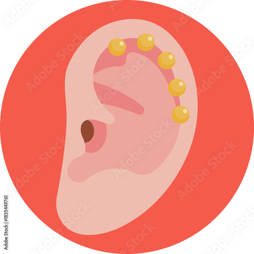 Decorative jewelry worn along the outer ear curve.