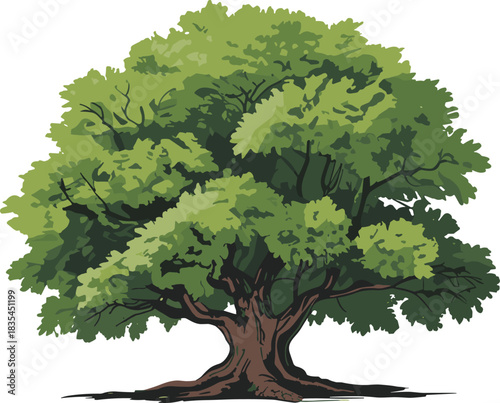Realistic tree illustration, mature deciduous tree with green foliage, nature design element, landscape clipart, botanical vector, eco-friendly forest icon
