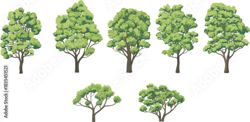 Stylized deciduous tree illustration set, green foliage vector collection, nature design elements, landscape clipart, botanical graphics, eco-friendly artistic icons