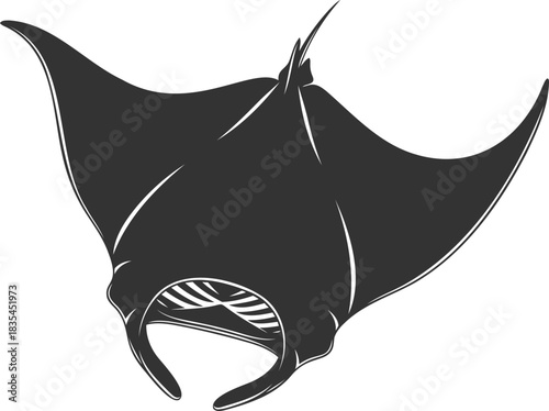 Elegant silhouette of a manta ray swimming gracefully