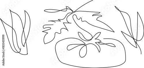 Single line art tomato illustration. A minimalist continuous line drawing of a ripe tomato, showcasing its organic shape and stem in a simple, elegant style.