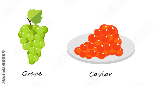 Caviar and Grape Vector Illustration on White Background. Minimalist Caviar and Grape Vector for culinary branding, gourmet packaging, restaurant menus, invitations, product labels.